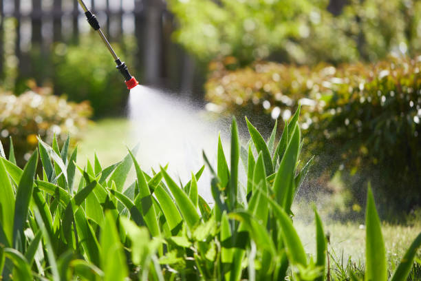 24/7 Emergency Fumigation Services experts in St. Martin, MS