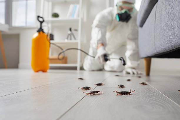 Trusted Fumigation Services service in St. Martin, MS - Nex Pest Control
