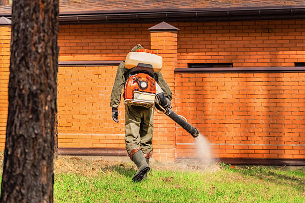 Trusted Bed Bug Control service in St. Martin, MS - Nex Pest Control